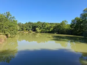 Terrain de loisirs - bois - Etang - 36400 Vicq-Exemplet