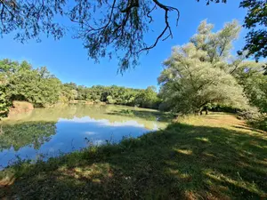 Terrain de loisirs - bois - Etang - 36400 Vicq-Exemplet