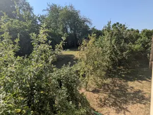 image de bien