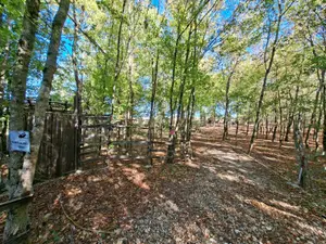 Terrain de loisirs - bois - Etang - 18130 Osmery
