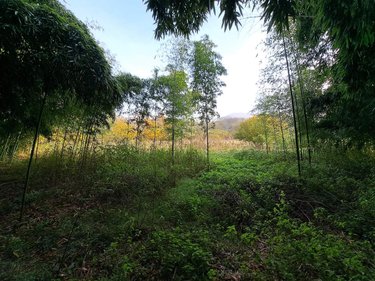 Maison a vendre Chazey-Bons 01300 Ain 130 m2 5 pièces 150000 euros