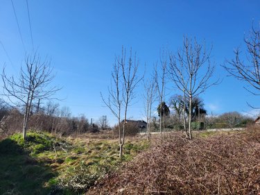 Terrain a batir a vendre Ceyzérieu 01350 Ain 1172 m2  85600 euros