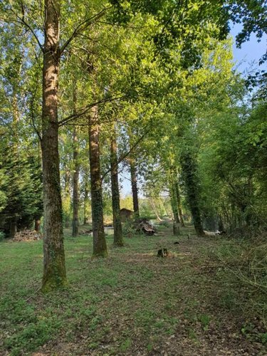 Terrains de loisirs bois etangs a vendre Guise 02120 Aisne 2325 m2  34000 euros