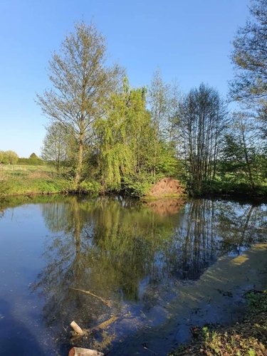 Terrains de loisirs bois etangs a vendre Guise 02120 Aisne 2325 m2  34000 euros
