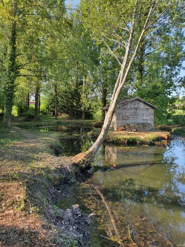 Terrains de loisirs bois etangs a vendre Guise 02120 Aisne 2325 m2  34000 euros