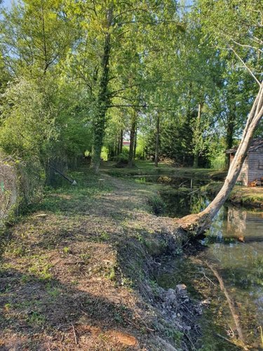Terrains de loisirs bois etangs a vendre Guise 02120 Aisne 2325 m2  34000 euros