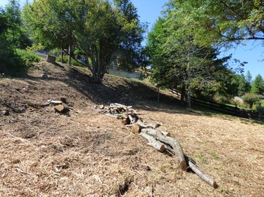Terrain a batir a vendre Laye 05500 Hautes-Alpes 572 m2  79000 euros