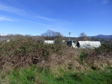 Terrain a batir a vendre Neffes 05000 Hautes-Alpes 17000 m2  1 euros