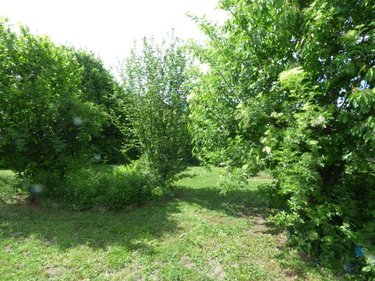 Maison a vendre Gap 05000 Hautes-Alpes 112 m2 5 pièces 360000 euros