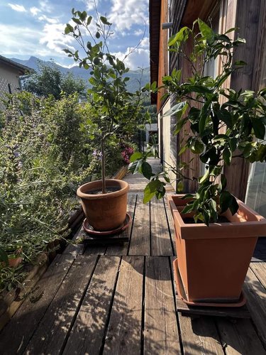 Maison a vendre Gap 05000 Hautes-Alpes 163 m2 4 pièces 513500 euros
