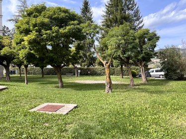 Appartement a vendre Gap 05000 Hautes-Alpes 64 m2 3 pièces 173000 euros