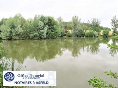 Terrains de loisirs bois etangs a vendre Chaumont-Porcien 08220 Ardennes 28100 m2  98600 euros