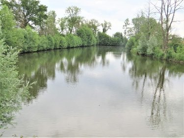 Terrains de loisirs bois etangs a vendre Chaumont-Porcien 08220 Ardennes 28100 m2  98600 euros