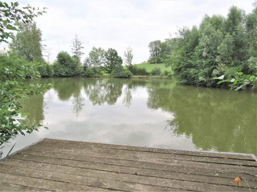 Terrains de loisirs bois etangs a vendre Chaumont-Porcien 08220 Ardennes 28100 m2  98600 euros