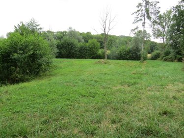 Terrains de loisirs bois etangs a vendre Chaumont-Porcien 08220 Ardennes 28100 m2  98600 euros