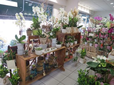 Fonds et murs commerciaux a vendre Rethel 08300 Ardennes 65 m2  292000 euros