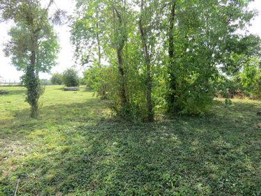 Terrain a batir a vendre Avaux 08190 Ardennes 1382 m2  53000 euros