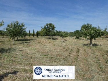 Terrains de loisirs bois etangs a vendre Villers-devant-le-Thour 08190 Ardennes 4480 m2  19900 euros