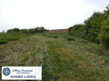 Terrains de loisirs bois etangs a vendre Villers-devant-le-Thour 08190 Ardennes 4480 m2  25000 euros