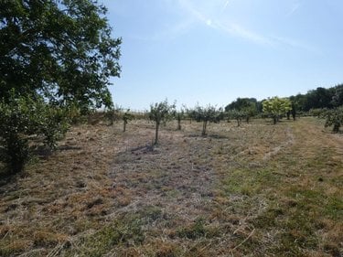 Terrains de loisirs bois etangs a vendre Villers-devant-le-Thour 08190 Ardennes 4480 m2  19900 euros