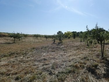 Terrains de loisirs bois etangs a vendre Villers-devant-le-Thour 08190 Ardennes 4480 m2  19900 euros