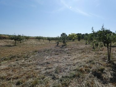 Terrains de loisirs bois etangs a vendre Villers-devant-le-Thour 08190 Ardennes 4480 m2  25000 euros