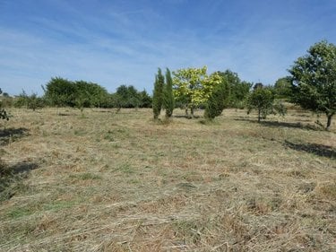 Terrains de loisirs bois etangs a vendre Villers-devant-le-Thour 08190 Ardennes 4480 m2  19900 euros