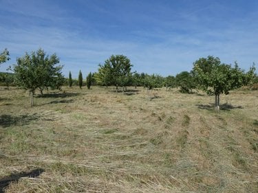 Terrains de loisirs bois etangs a vendre Villers-devant-le-Thour 08190 Ardennes 4480 m2  19900 euros