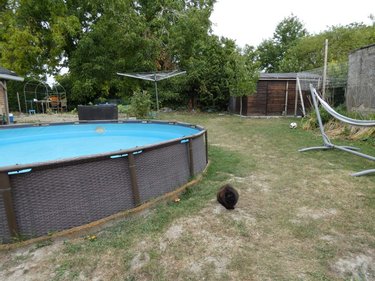Maison a vendre Asfeld 08190 Ardennes 118 m2 5 pièces 149900 euros