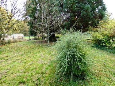 Terrains de loisirs bois etangs a vendre Saint-Germainmont 08190 Ardennes 741 m2  17800 euros
