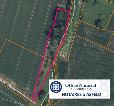 Terrains de loisirs bois etangs a vendre Alland'Huy-et-Sausseuil 08130 Ardennes 3293 m2  19500 euros