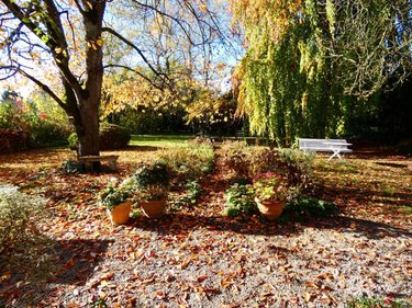 Maison a vendre Asfeld 08190 Ardennes 245 m2 9 pièces 290200 euros