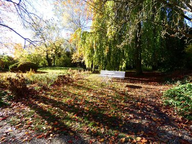 Maison a vendre Asfeld 08190 Ardennes 245 m2 9 pièces 290200 euros