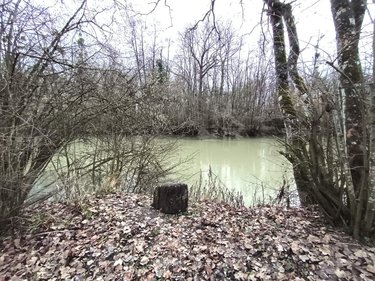 Terrains de loisirs bois etangs a vendre Balham 08190 Ardennes 425 m2  17760 euros