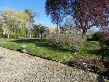 Maison a vendre Asfeld 08190 Ardennes 60 m2 3 pièces 84200 euros