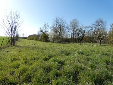 Terrains de loisirs bois etangs a vendre Blanzy-la-Salonnaise 08190 Ardennes 5030 m2  22000 euros