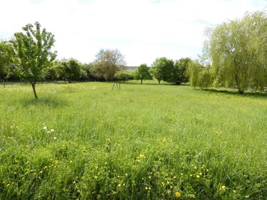 Maison a vendre Amagne 08300 Ardennes 217 m2 8 pièces 299000 euros