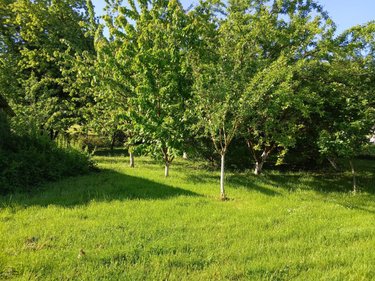 Maison a vendre Asfeld 08190 Ardennes 148 m2 5 pièces 159900 euros