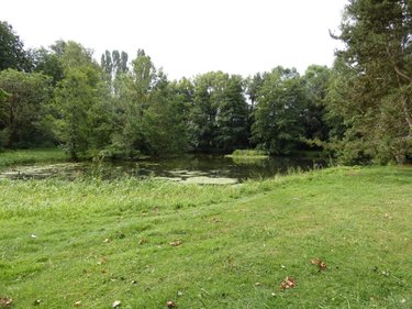 Maison a vendre Asfeld 08190 Ardennes 140 m2 6 pièces 310800 euros