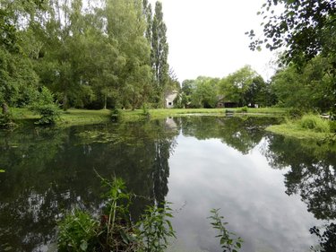 Maison a vendre Asfeld 08190 Ardennes 140 m2 6 pièces 310800 euros