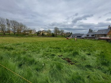 Terrain a batir a vendre Coltines 15170 Cantal 2436 m2  39000 euros