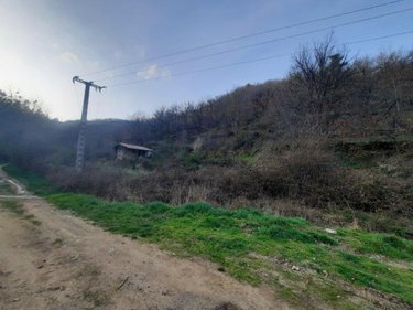 Terrains de loisirs bois etangs a vendre Massiac 15500 Cantal 12400 m2  10800 euros
