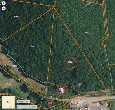 Terrains de loisirs bois etangs a vendre Massiac 15500 Cantal 12400 m2  10800 euros