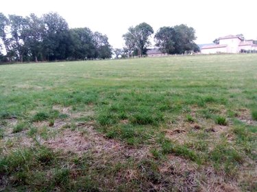 Terrain a batir a vendre Celles 15170 Cantal 9001 m2  15 euros
