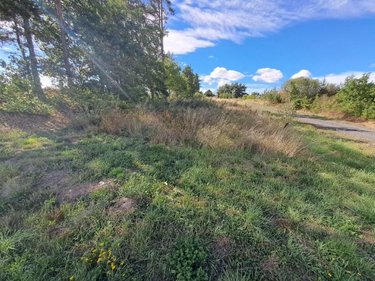Terrain a batir a vendre Anglards-de-Saint-Flour 15100 Cantal 1348 m2  16800 euros