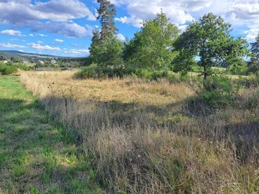 Terrain a batir a vendre Anglards-de-Saint-Flour 15100 Cantal 1348 m2  16800 euros