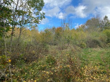 Terrains de loisirs bois etangs a vendre Neuvéglise-sur-Truyère 15260 Cantal 28200 m2  6800 euros