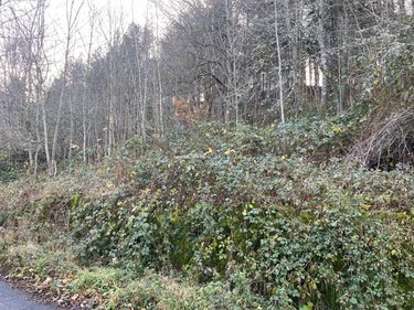 Terrains de loisirs bois etangs a vendre Neuvéglise-sur-Truyère 15260 Cantal 28200 m2  6800 euros