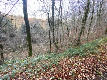 Terrains de loisirs bois etangs a vendre Neuvéglise-sur-Truyère 15260 Cantal 28200 m2  6800 euros