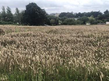 Terrain a batir a vendre Pléneuf-Val-André 22370 Côtes-d'Armor 460 m2  168245 euros